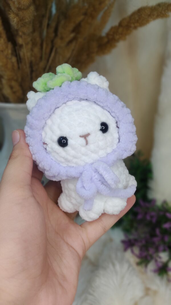 Lavender cat 😺