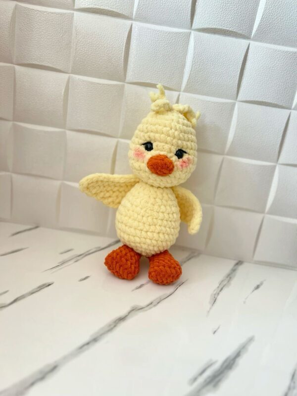 Duck