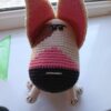 Knit dog