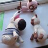Knit dog - Image 3